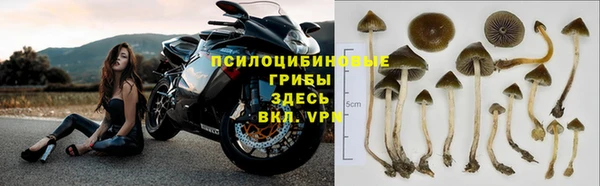 бошки Алексеевка