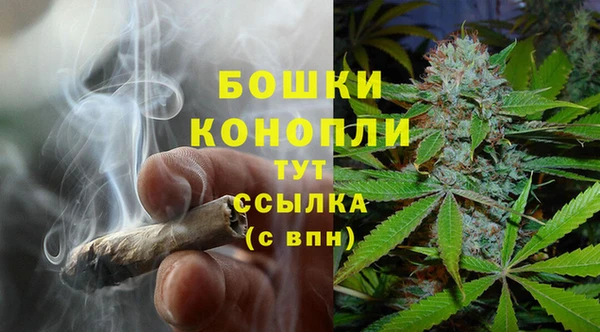 Альфа ПВП Арсеньев