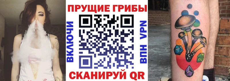 блэк спрут ссылка  Удачный  Галлюциногенные грибы Cubensis 